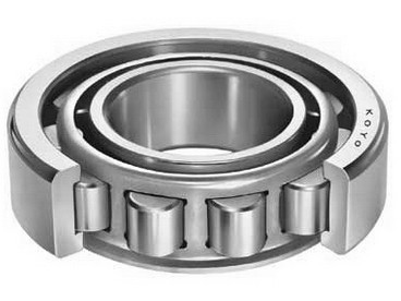 70 mm x 100 mm x 19 mm  INA SL182914 cylindrical roller bearings