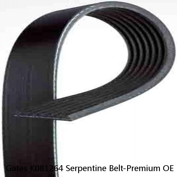 Gates K081264 Serpentine Belt-Premium OE Micro-V Belt 
