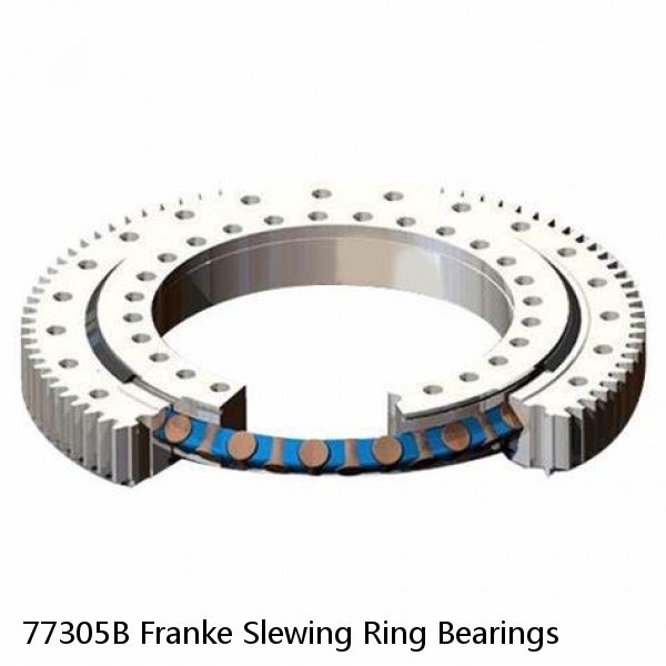 77305B Franke Slewing Ring Bearings #1 small image