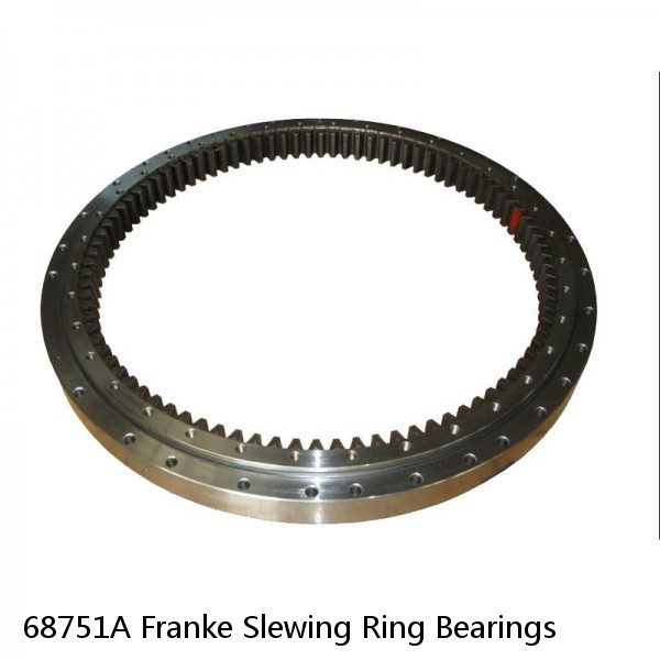 68751A Franke Slewing Ring Bearings #1 small image