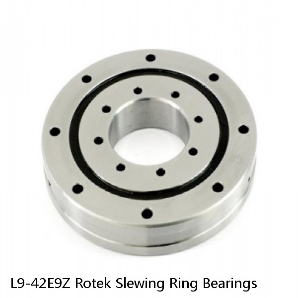 L9-42E9Z Rotek Slewing Ring Bearings #1 small image