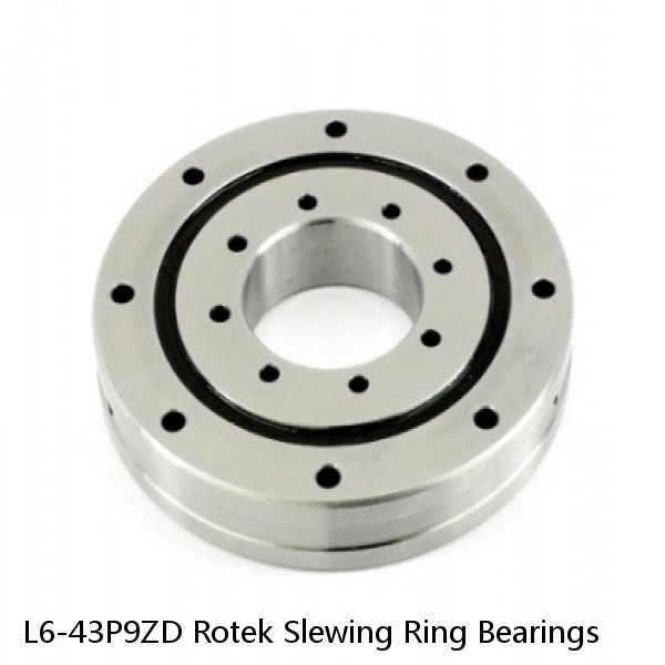 L6-43P9ZD Rotek Slewing Ring Bearings #1 small image
