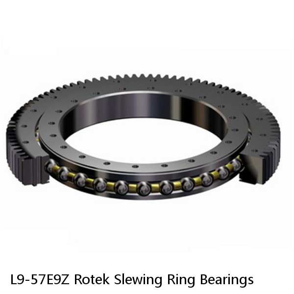 L9-57E9Z Rotek Slewing Ring Bearings #1 small image