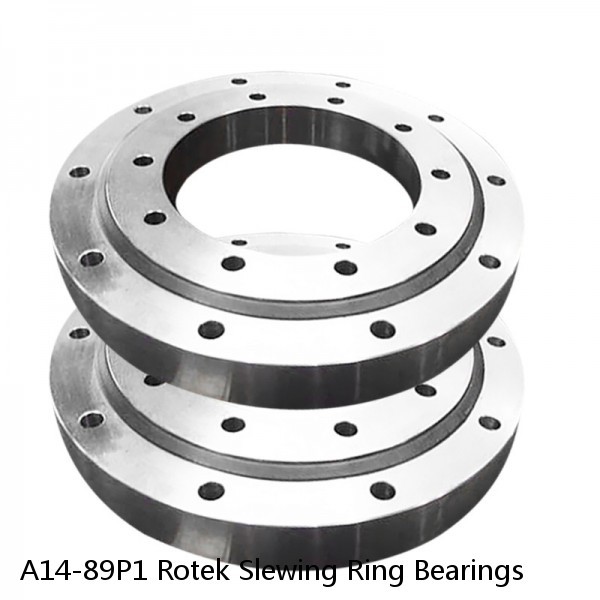 A14-89P1 Rotek Slewing Ring Bearings #1 small image
