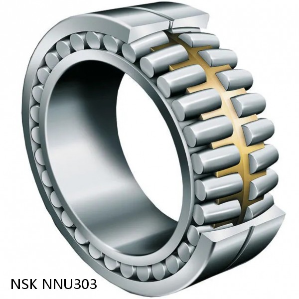 NNU303 NSK CYLINDRICAL ROLLER BEARING #1 small image