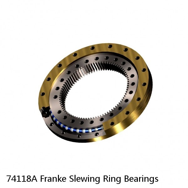 74118A Franke Slewing Ring Bearings #1 image
