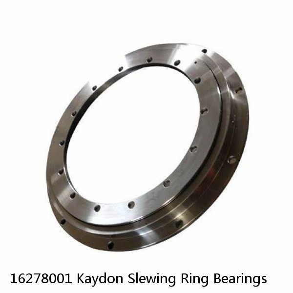 16278001 Kaydon Slewing Ring Bearings #1 image