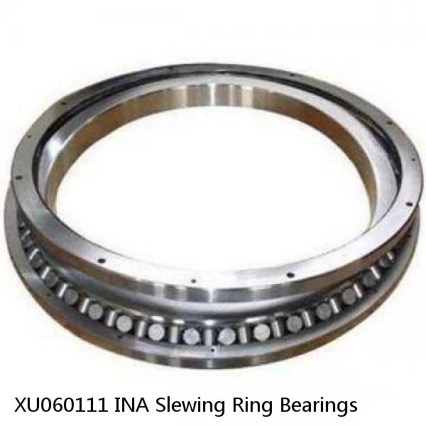 XU060111 INA Slewing Ring Bearings #1 image