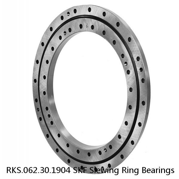 RKS.062.30.1904 SKF Slewing Ring Bearings #1 image