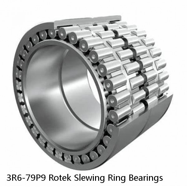 3R6-79P9 Rotek Slewing Ring Bearings #1 image