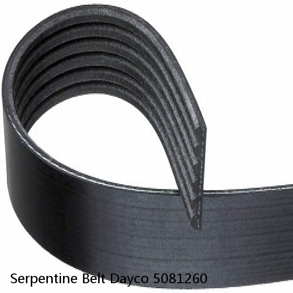Serpentine Belt Dayco 5081260 #1 image